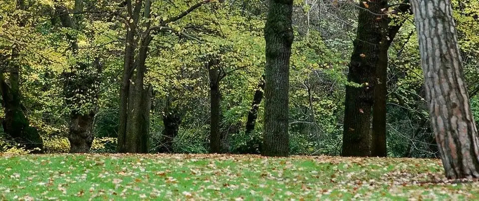 Jardín de El Capricho: la joya de Madrid que casi nadie visita