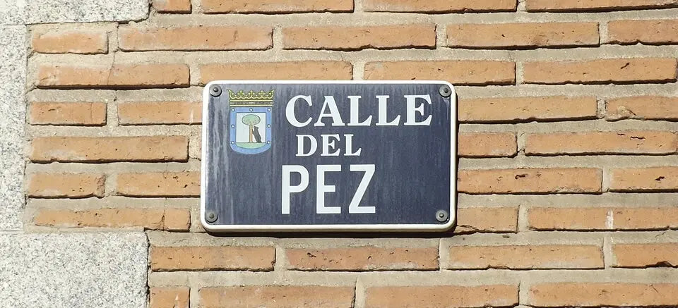 Calle del Pez, Madrid: la historia detrás del nombre